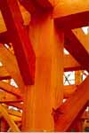 Douglas Fir